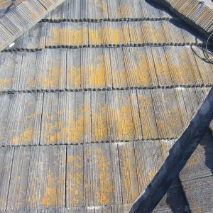 福岡県筑紫野市牛島のM様邸でコケの繁殖を改善する屋根塗装工事を行いました。7月19日完成です。【HPより】