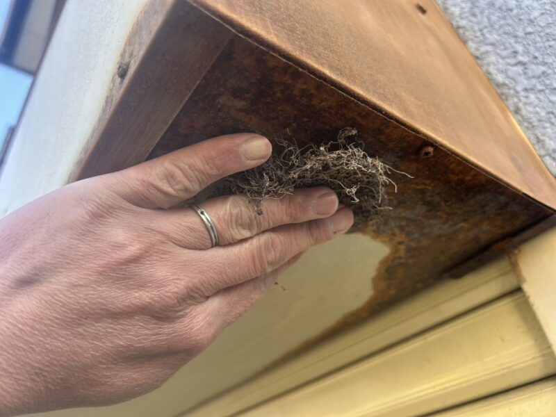 福岡県太宰府市青山のF様邸でシャッター塗装を行いサビ落としから下塗り上塗りまで丁寧に仕上げました!