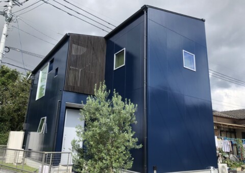 外壁のコケを放置するリスクとは？早めの対処で大切な住まいを守る方法