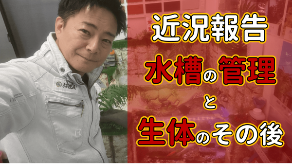 カメ水槽が出来上がってもうすぐ2年！あれから水槽は…サムネイル