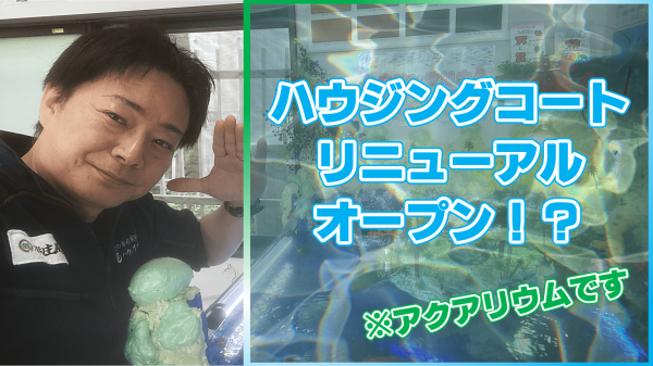 外壁塗装屋にアクアリウム！？この度リニューアルしました！サムネイル