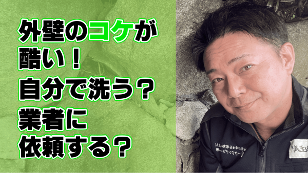 外壁のコケでお悩みの方必見！正しい対処法はこれだ！サムネイル