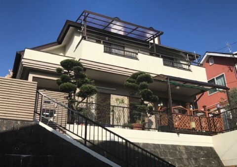 水性塗料 vs. 油性塗料、どっちがいい？ペットや臭いの影響が気になる方へ！