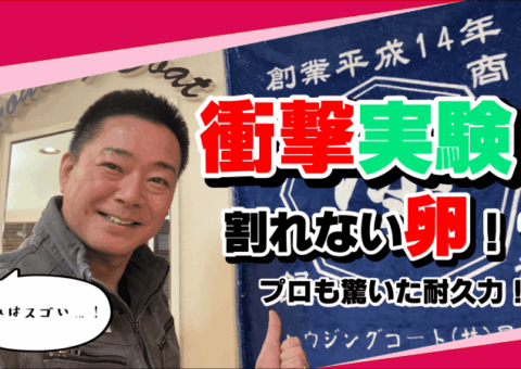 超耐久塗料の実力！卵に塗って落としてみた結果がヤバい！