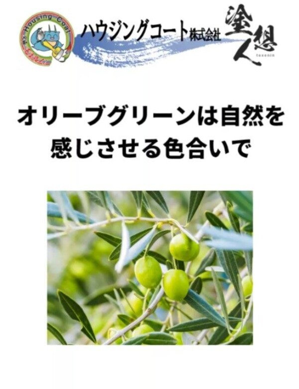 外壁にオリーブグリーンを！落ち着きと個性を両立する色選びサムネイル