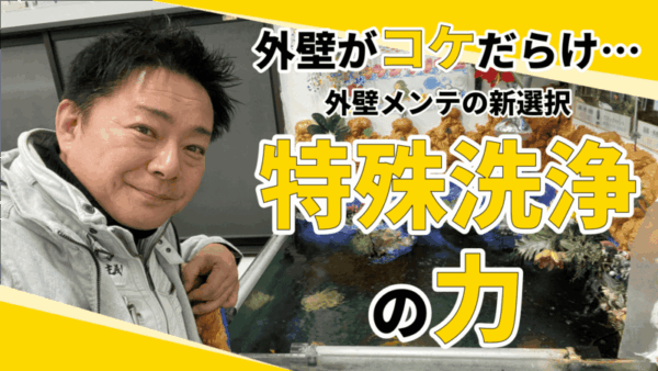 4年半でコケだらけ…塗装せずに復活させます！！サムネイル