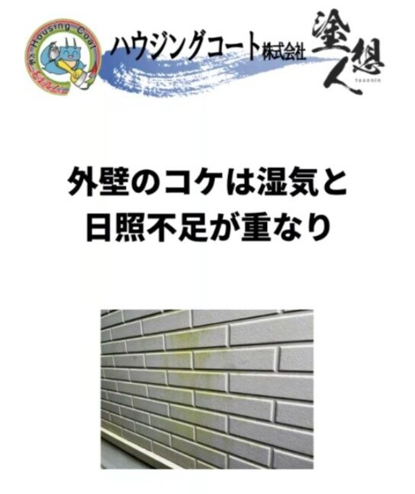 同じ家なのに…コケが出る壁・出ない壁の違いサムネイル