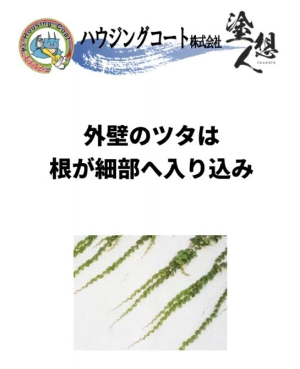見た目はおしゃれでも危険？外壁のツタ問題サムネイル